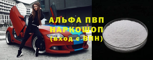 хмурый Абаза