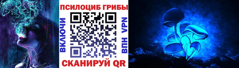 Галлюциногенные грибы MAGIC MUSHROOMS  где найти наркотики  Томари 
